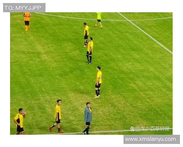 璀璨绿茵荣耀见证足球星辉煌颁奖盛典时刻全场掌声雷动